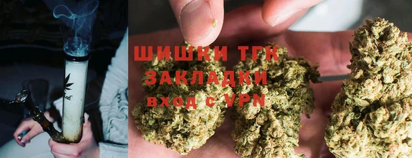 бошки Богородицк
